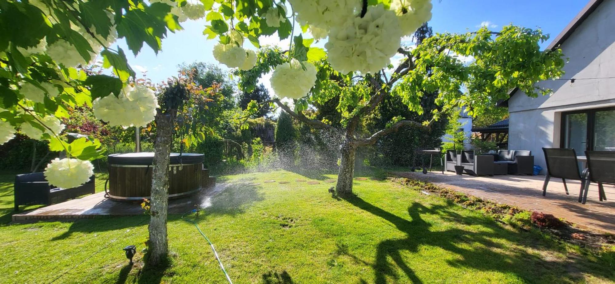 Michowka Mikoszewo Bagian luar foto