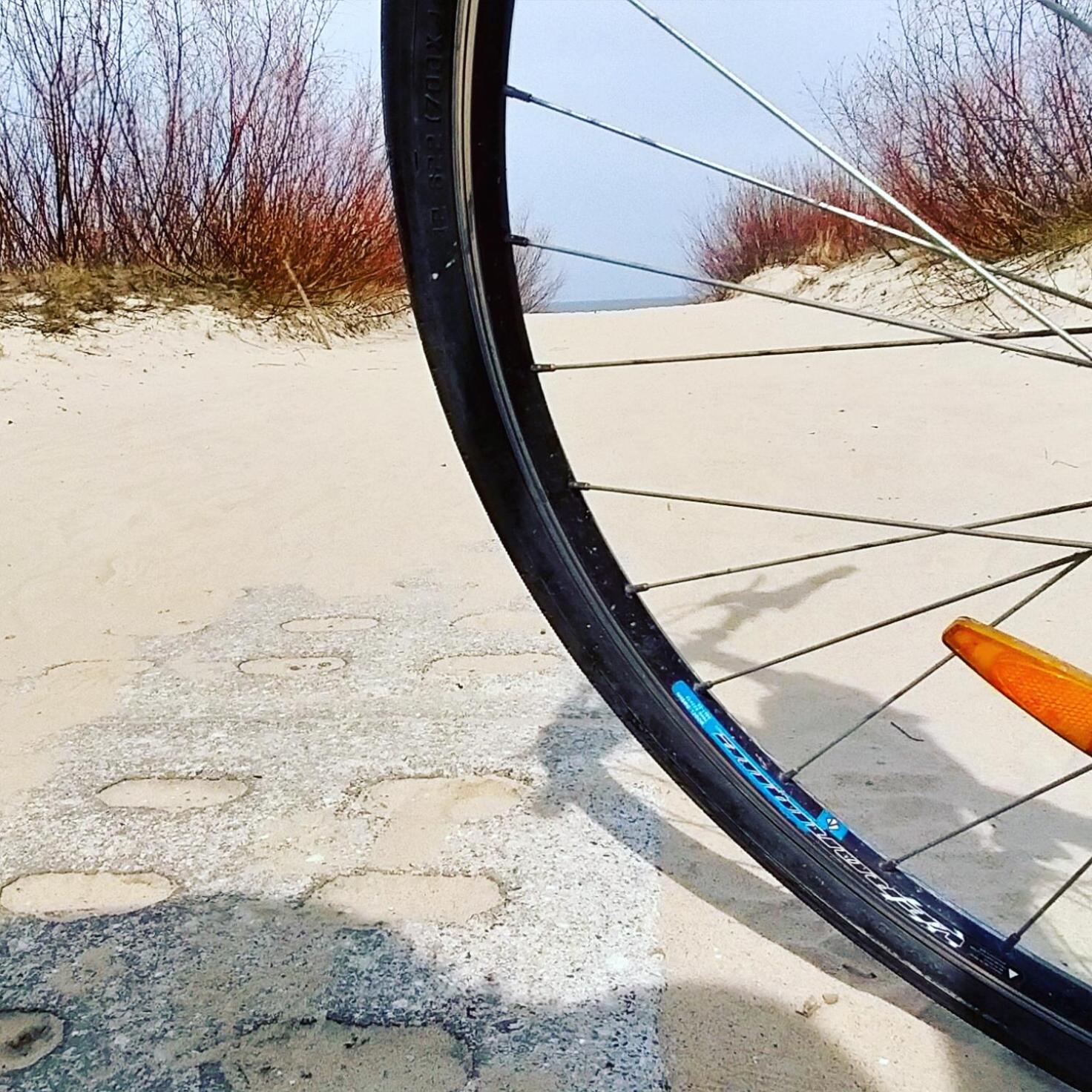 Michowka Mikoszewo Bagian luar foto