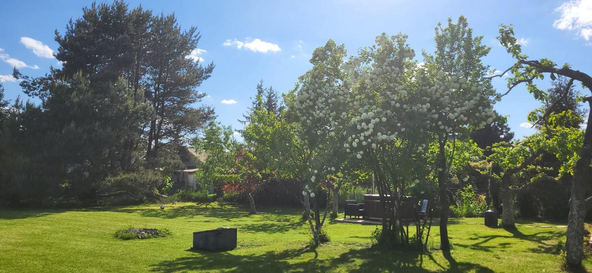 Michowka Mikoszewo Bagian luar foto